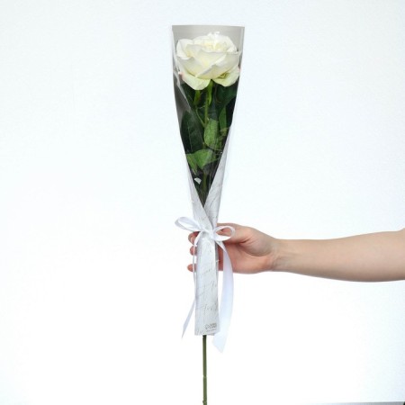 Pressent for You, Pattern packet packet package-2
