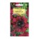 Flowers of Petunia "Bordeaux", fringe, oh, test tube, 7 pcs.
