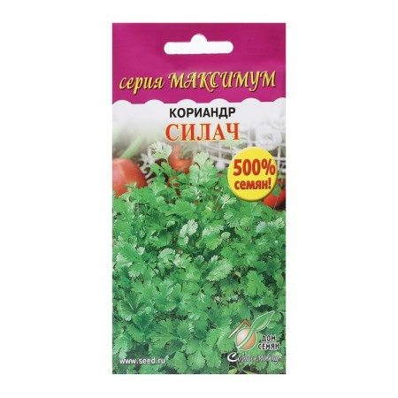 Coriander seeds "Steal, 1100 pcs