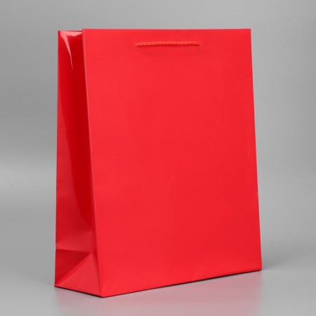 Gift laminated package, packaging, red, m 24 x 29 x 9 cm-3
