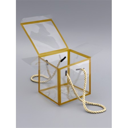 PET box with handles, gold, 10 x 10 x 10 cm-2