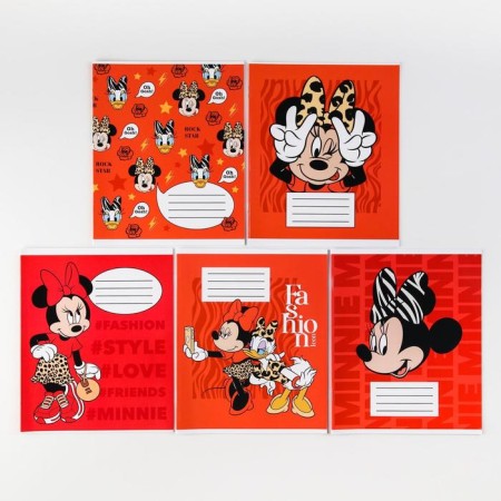 Notebook in a cage 12 sheets, 5 types of mix, cover coated cardboard, Minnie Mouse-1