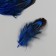 Decorative pheasant feather "Rice. Blue" set 20 pcs h = 5-7 cm