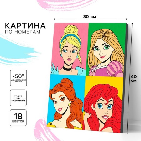 Picture on numbers on a subframe 30x40 cm, princesses