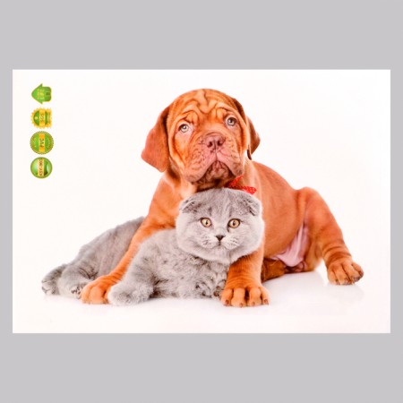 Stick 3D Interior pets 29*21cm