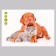 Stick 3D Interior pets 29*21cm