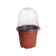 Pot for seedlings with a lid, 250 ml, d = 9.5 × 15 cm, (packing 5 pcs.) Greengo