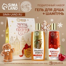 Gift set of cosmetics, shower gel 250 ml and hair shampoo 250 ml, Winter Melody by Ural Lab