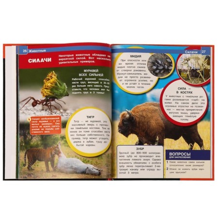 Animals. Encyclopedia A4. 48 p.-4
