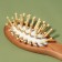 Comb-mini massage, wooden, 4 × 11.5 cm, color "light wood"