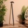Cane 92 cm, wood shisham