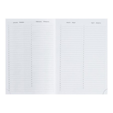 Leduced A5 Diary, 160 sheets, Devente.Gold Rush, firm artificial leather cover with foam rubber, silver slice, Bullpan of 70 g/m2, silver-5