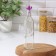 A bottle for sauce and oil "olio" 500 ml