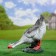 Garden Figure "The Enchanting Goose" 36x22x33cm