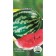 Seeds of watermelon "light", 10 pcs