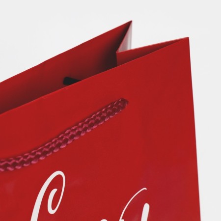 Laminated vertical packet “With a gift for you”, ML 21 x 25 x 8 cm, New Year-4