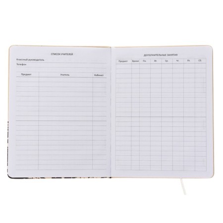 Universal diary for grade 1-11 today is the same day, solid cover, artificial leather, silkography, lies, 80 g/m2-3