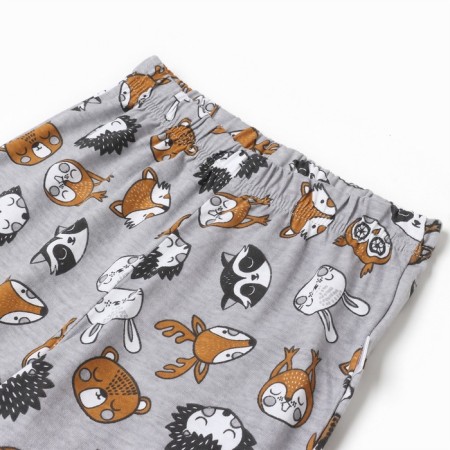 Pajamas for a boy (longshilly/pants), gray/hedgehog color, height 104cm-3