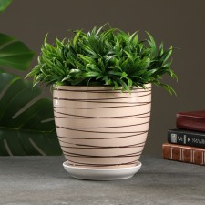 Flower Pot 
