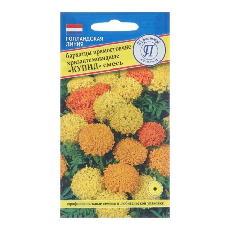 Flower seeds velvet "buy", mixture, 15 pcs
