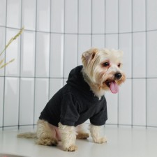 Single-toned hoodie for dogs (foot), size M (DS 26, Osh 36-38, OG 46-50), gray