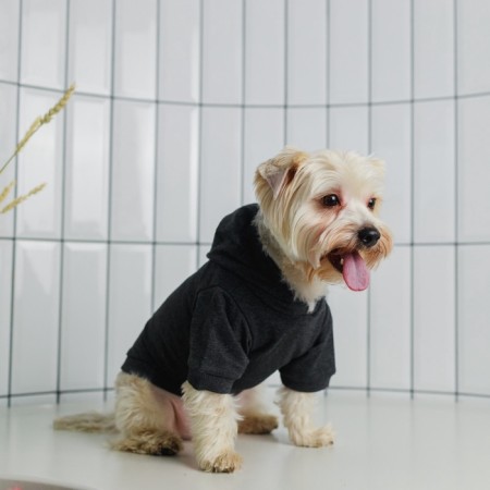 Single-toned hoodie for dogs (foot), size M (DS 26, Osh 36-38, OG 46-50), gray