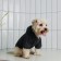 Single-toned hoodie for dogs (foot), size M (DS 26, Osh 36-38, OG 46-50), gray