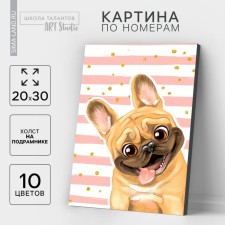 Picture on numbers on a canvas with a subframe of 