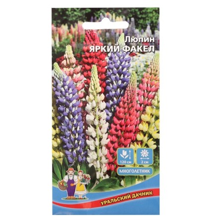 Flowers of Lupine "Bright torch", 10 pcs.