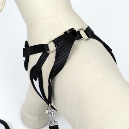 A set with a soft harness and a bow "feathers", size M, leash 120 x 1.5 cm, og 28-46 cm-3