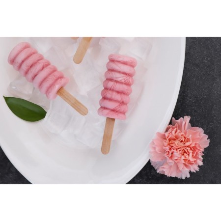 Form for ice cream shares "Monica", silicone, 19.5 × 11 cm, 4 cells (6.7 × 3.2 cm), color mix-14