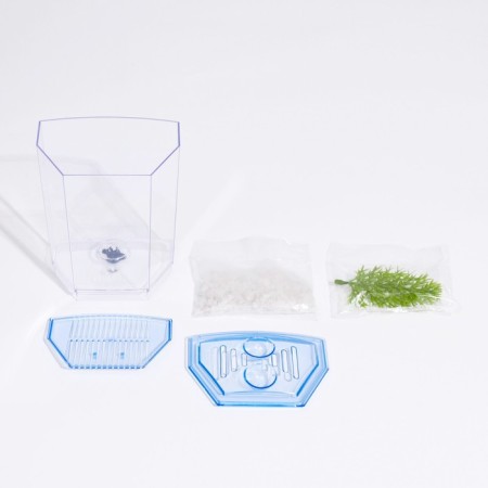 Aquarium desktop, with soil and plant-3