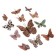 Butterflies cardboard "animal skins" set 12 pcs h = 4-10 cm on magnet