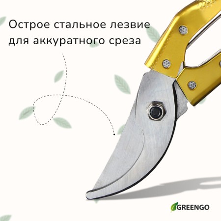 Planning Securiate Securitor, 8 "(20 cm), with metal pens, mix, Greengo-4