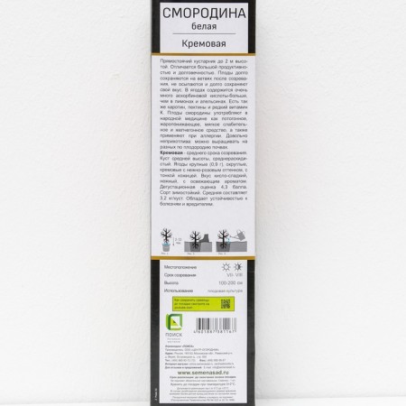 Currants of white promising varieties "cream", 1 pc, tube, spring 2025-2