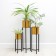 Kashpo set on the stand “Illusion”, D = 13.9/16.3/18 cm