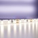 Maytoni LED strip, 12V, IP20, 2835, 9.6W/m, 4000k, 5 m, 5 mm, monochrome glow