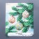 Package "Matte balls", plastic with a cut pen, 45 x 38 cm, 60 μm
