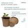 Peat pot, 250 ml, 8 × 8 cm, set 20 pcs., Greengo