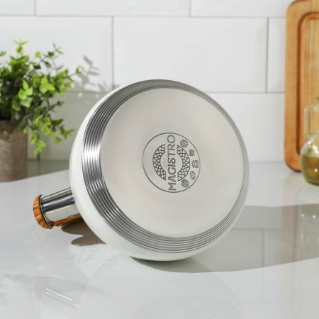 A kettle with a stainless steel whistle Magistro Heat, 3 L, TRS, Induction, Soft-Touch pen, white color-8