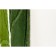 Bathroom mat "Listopad", 50 x 80 cm, green color
