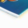 Subject notebook A5, 36 liters on the paper clip “September 1: memes. Physics"