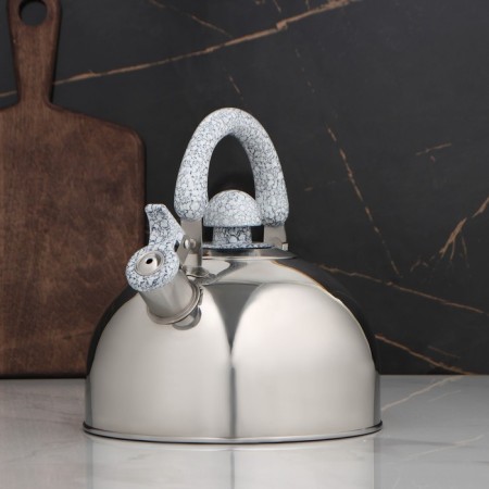 A kettle with a stainless steel whistle “marble”, 3 l, a fixed handle, chrome color-1