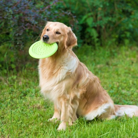 Frisby "UFO", 18.6 cm, hard thermoplastic rubber, green-6