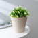 Kashpo with an insert "Pino Eco", 3 l, d = 19 cm, ivory color