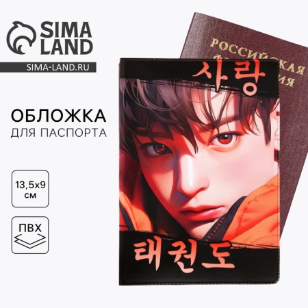 Cover for the passport "guy", anime, PVC