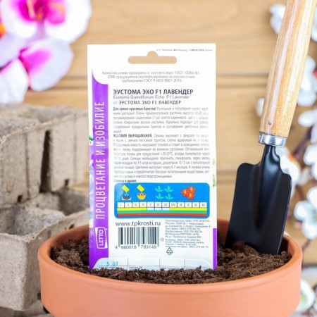 Eustoma flower seeds "Echo Lavender", F1, O, Drage, 5 pcs-1