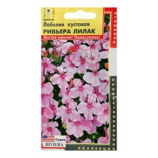 Lobelia seeds bush. 