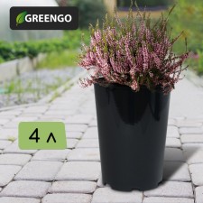 Pot for seedlings, for roses, 4 l, d = 18 cm, h = 21.5 cm, black, Greengo