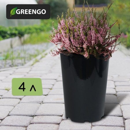 Pot for seedlings, for roses, 4 l, d = 18 cm, h = 21.5 cm, black, Greengo